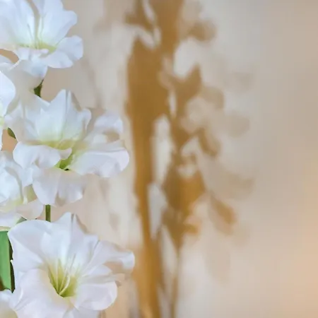 Meu Cantinho Em Διαμέρισμα *