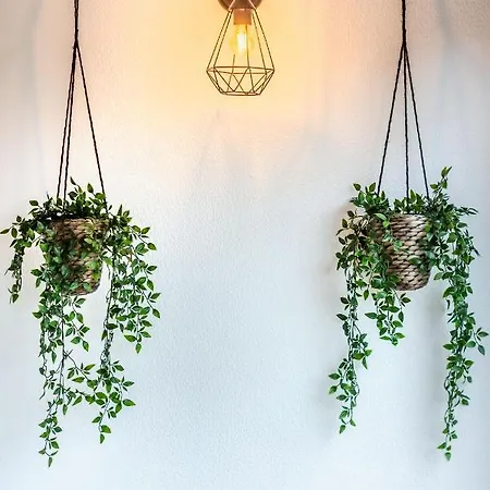 Meu Cantinho Em Appartement